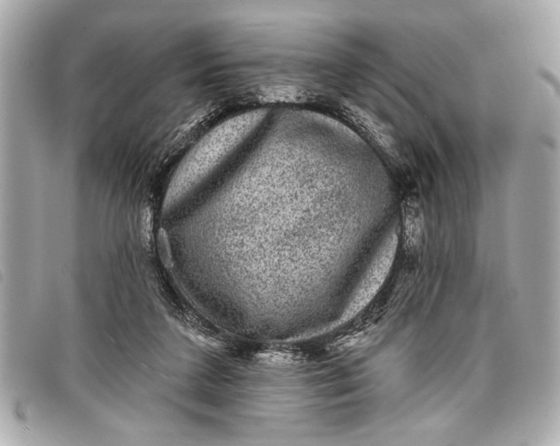 X0000098070211200804181141