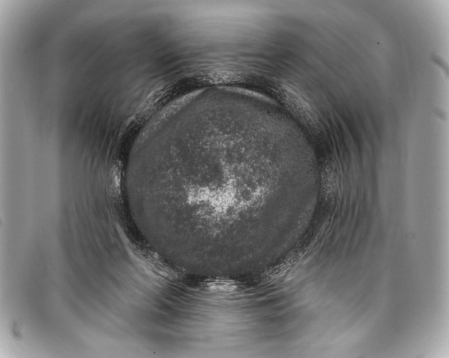 X0000098070214200804181141