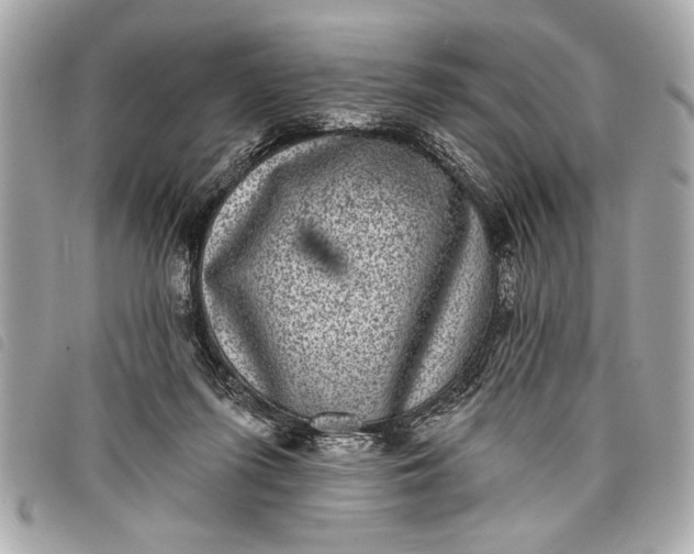 X0000098070215200804181141