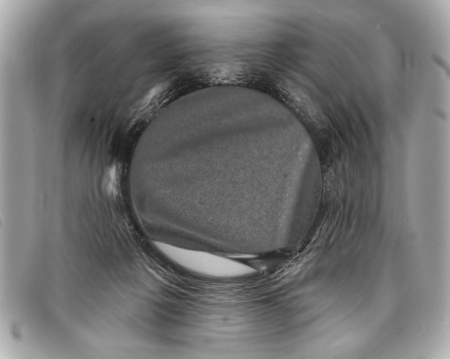 X0000098070217200804181141