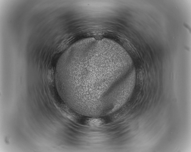 X0000098070218200804181141