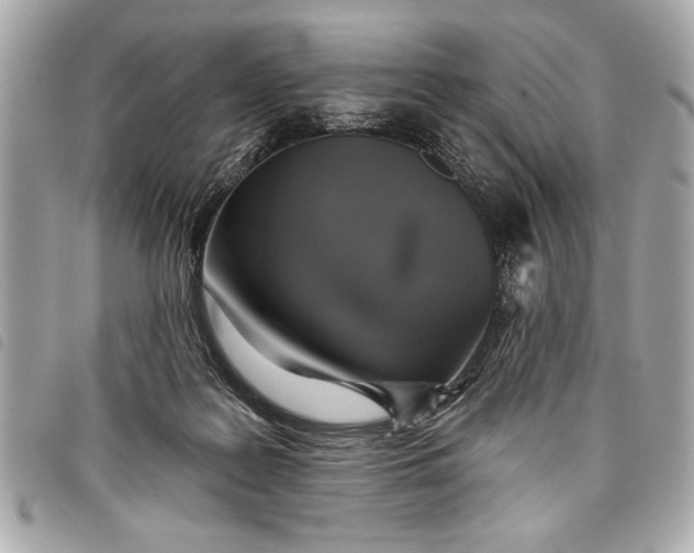 X0000098070219200804181141