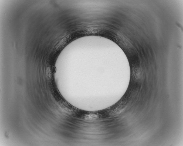 X0000098070220200804181141