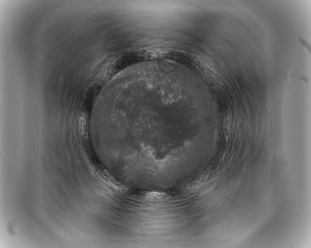 X0000098070222200804181141