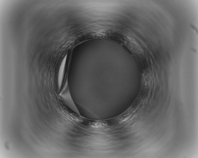 X0000098070223200804181141