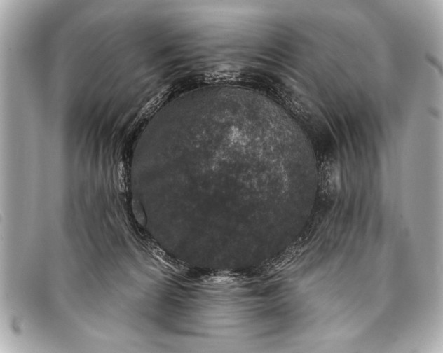 X0000098070224200804181141