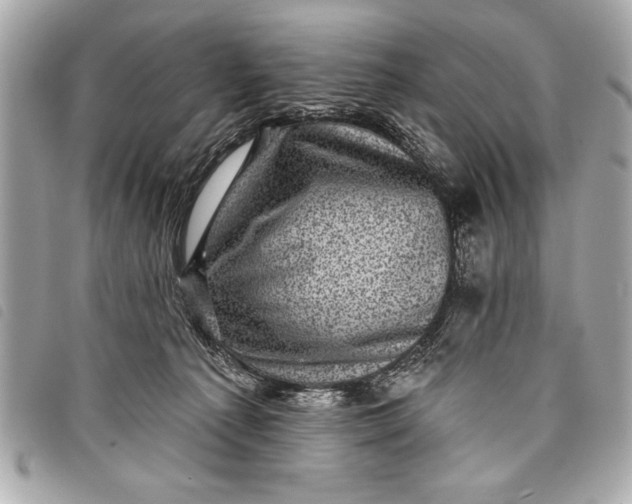 X0000098070225200804181141