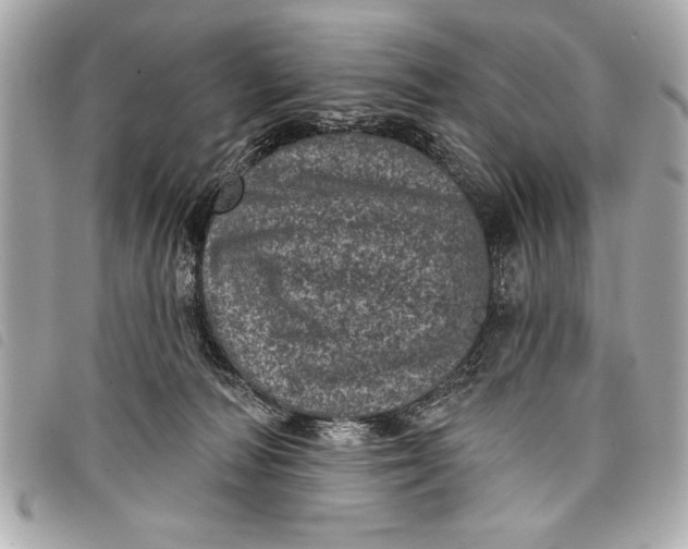 X0000098070226200804181141