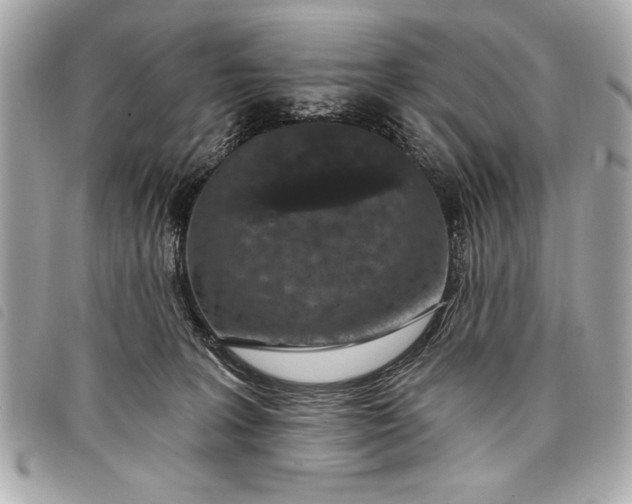 X0000098070227200804181141