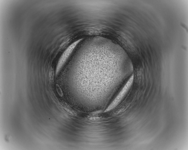 X0000098070228200804181141