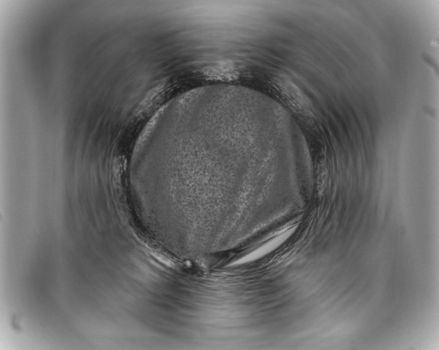 X0000098070229200804181141