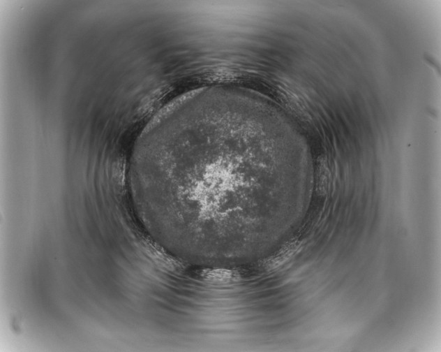 X0000098070230200804181141