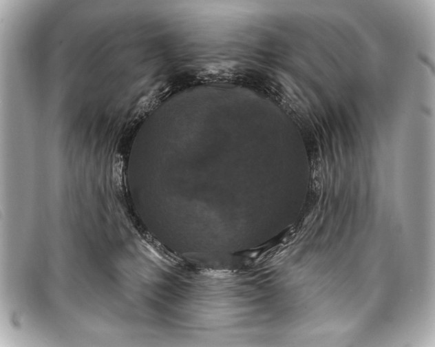 X0000098070231200804181141