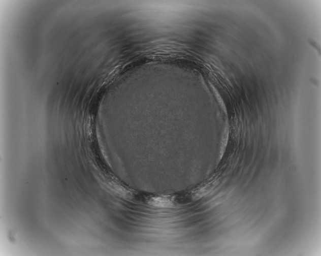 X0000098070232200804181141