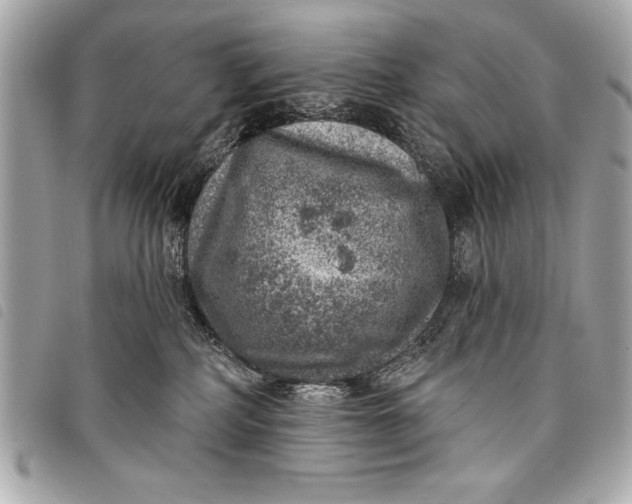 X0000098070234200804181141