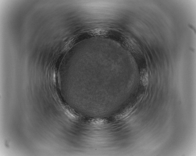 X0000098070235200804181141