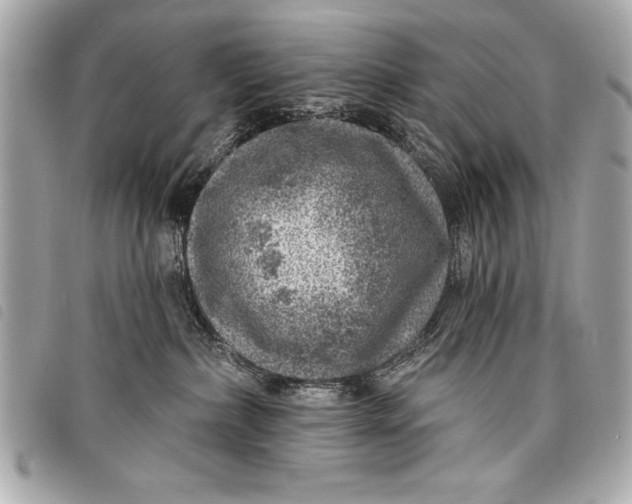 X0000098070236200804181141