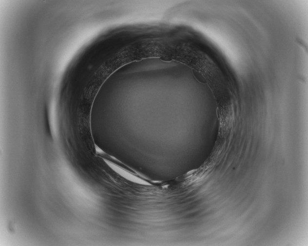 X0000098070239200804181141