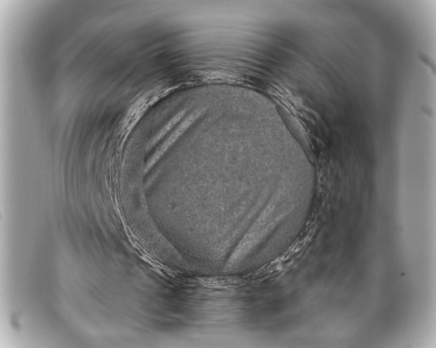 X0000098070241200804181140