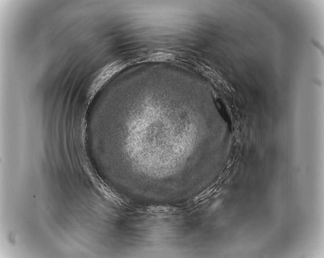 X0000098070242200804181140