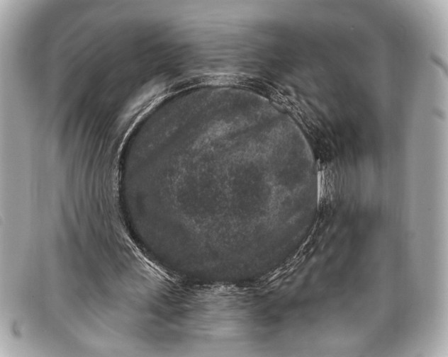 X0000098070243200804181140