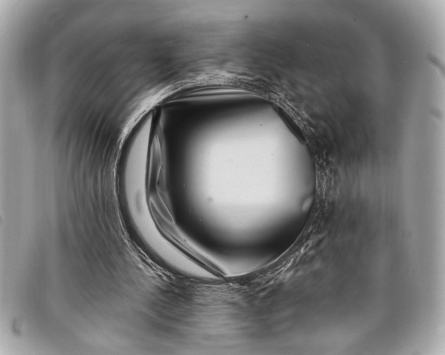 X0000098070244200804181140