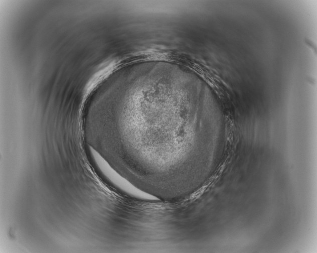 X0000098070245200804181140