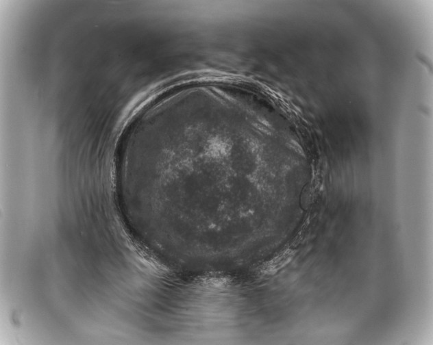 X0000098070247200804181140