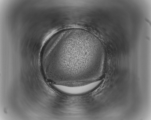 X0000098070248200804181140