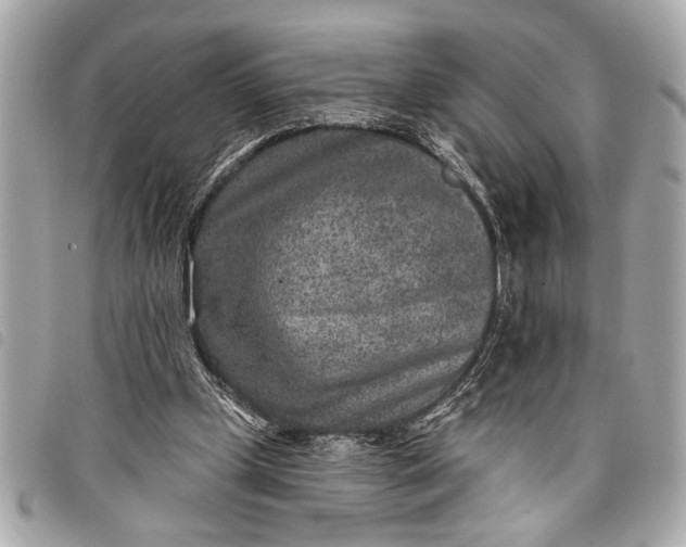 X0000098070249200804181140