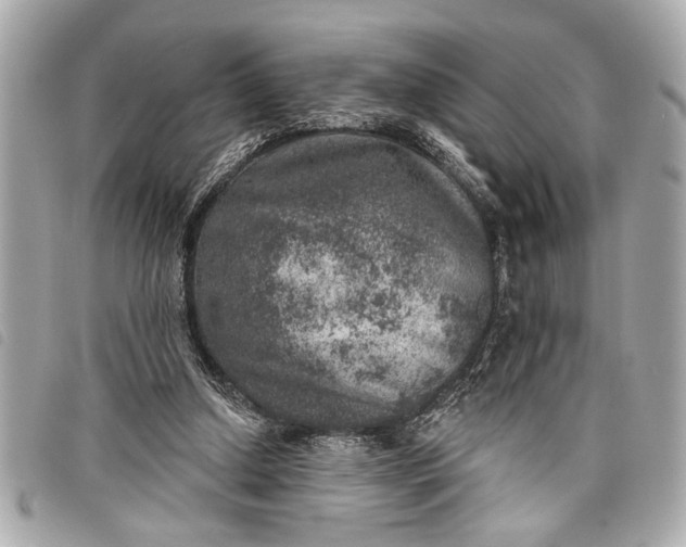 X0000098070250200804181140