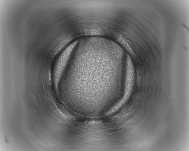 X0000098070251200804181140