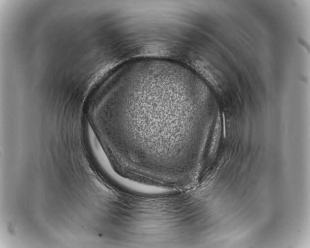 X0000098070252200804181140