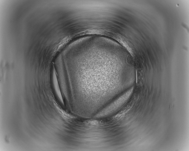 X0000098070253200804181140