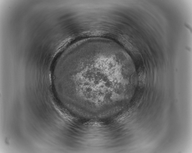 X0000098070254200804181140