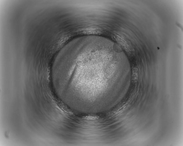 X0000098070255200804181140