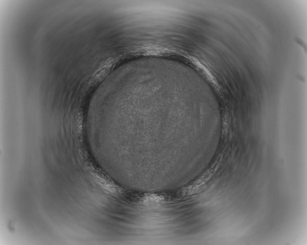 X0000098070257200804181140