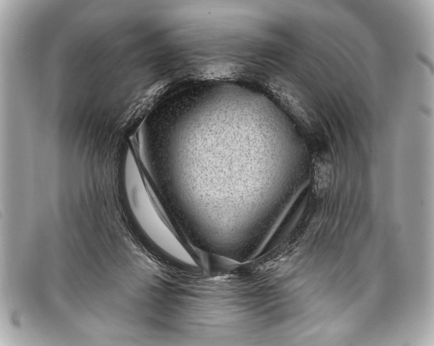 X0000098070260200804181140