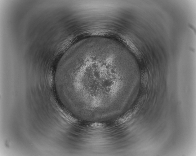 X0000098070261200804181140