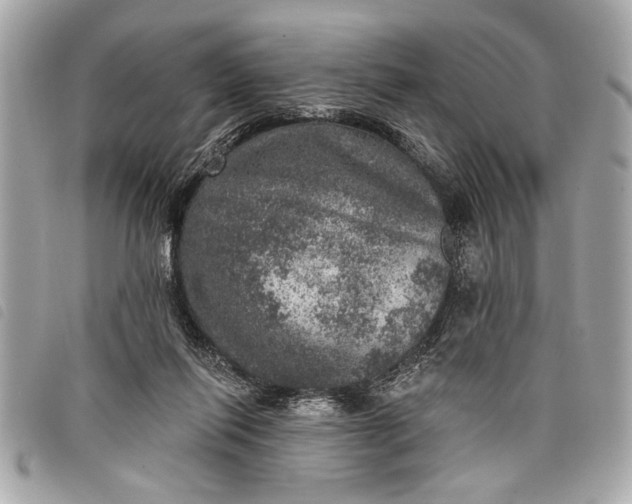 X0000098070262200804181140