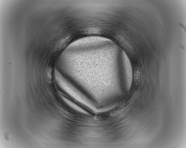 X0000098070264200804181140