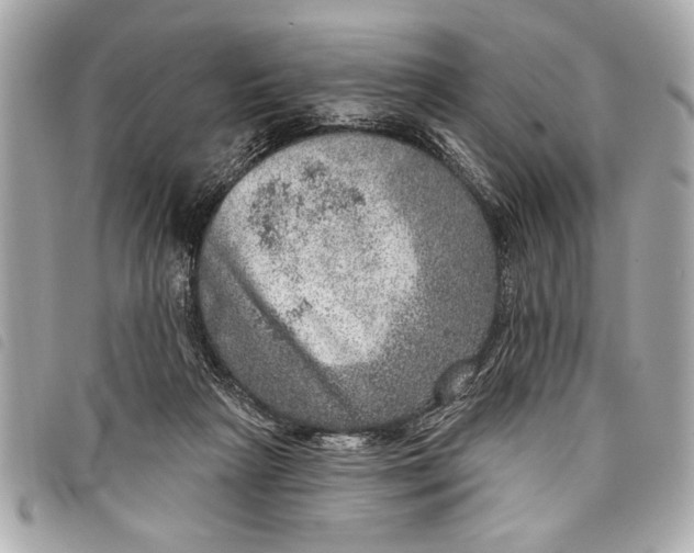 X0000098070265200804181140