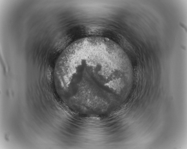 X0000098070266200804181140