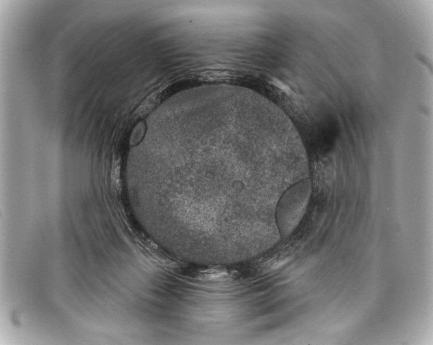 X0000098070267200804181140