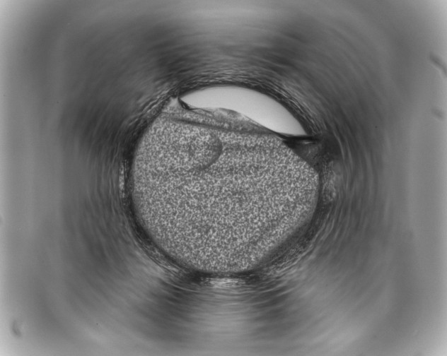 X0000098070268200804181140