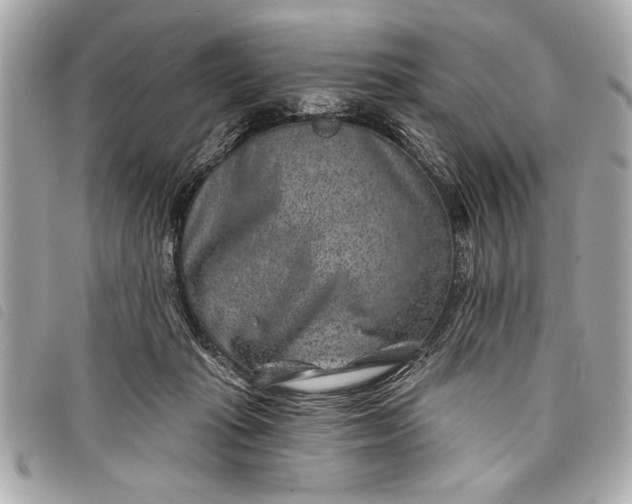 X0000098070269200804181140