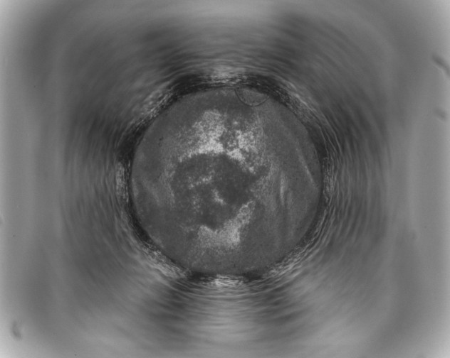 X0000098070270200804181141