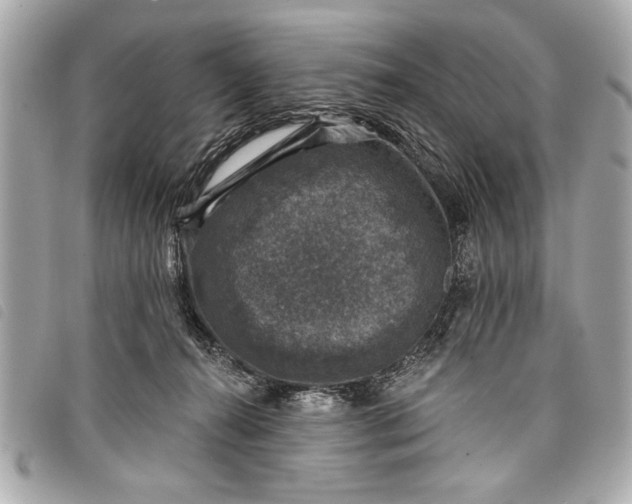 X0000098070272200804181141