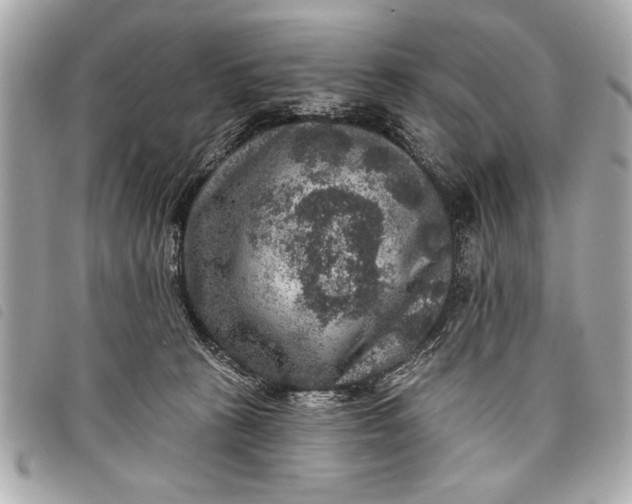 X0000098070273200804181141