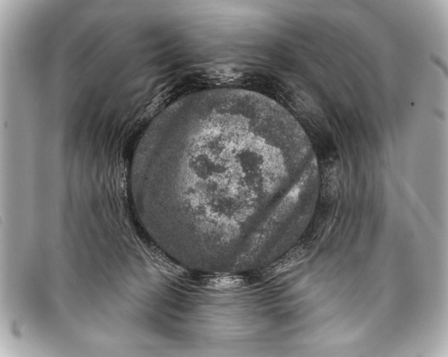 X0000098070274200804181141